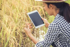 KUNCI KESUKSESAN PANEN LEWAT TEKNOLOGI SURVEY DIGITAL