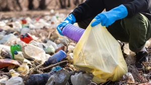 Training pengelolaan sampah di Indonesia